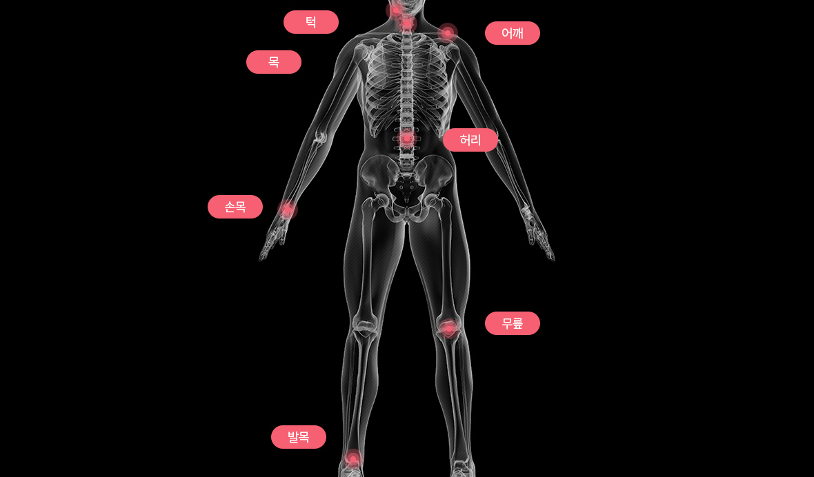턱, 목, 어깨, 허리, 손목, 무릎, 발목